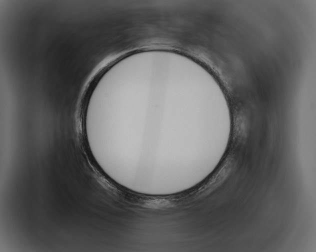 X0000086721462200705111545