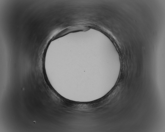 X0000086721463200705111545