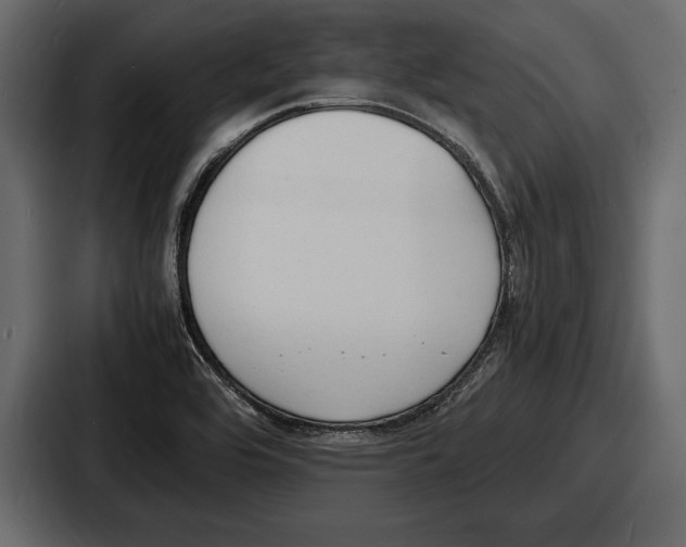 X0000086721464200705111545