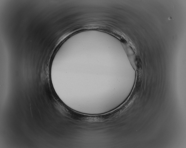 X0000086721465200705111545