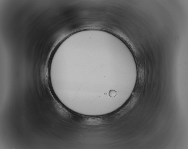 X0000086721466200705111545