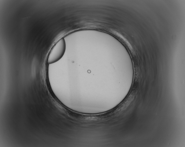 X0000086721467200705111545