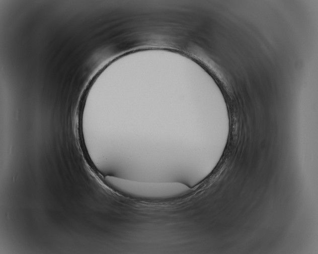 X0000086721468200705111545