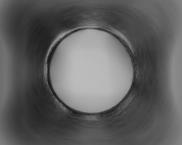 X0000086721472200705111545