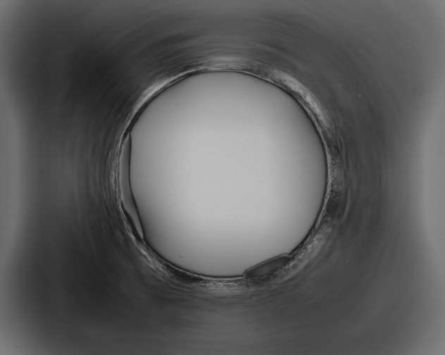 X0000086721473200705111545