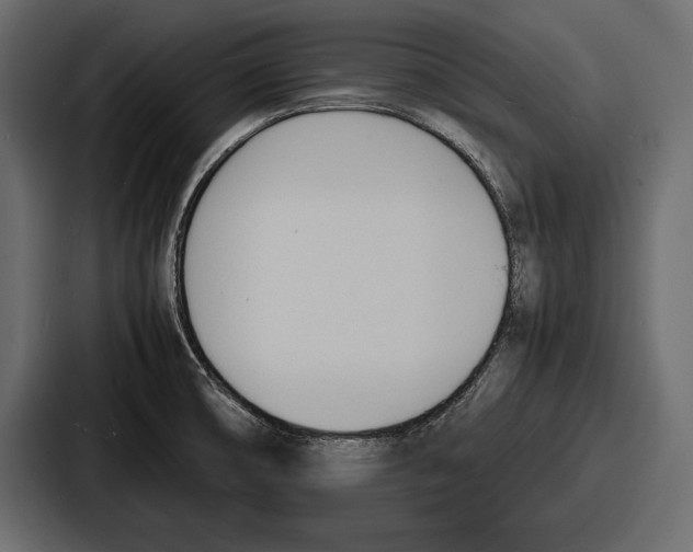 X0000086721474200705111545