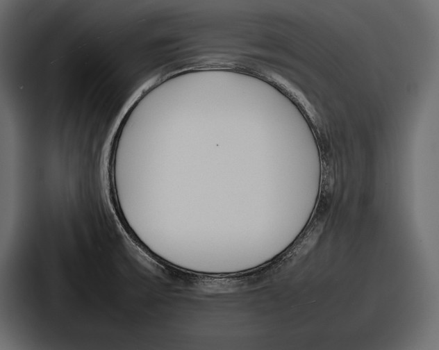 X0000086721475200705111545