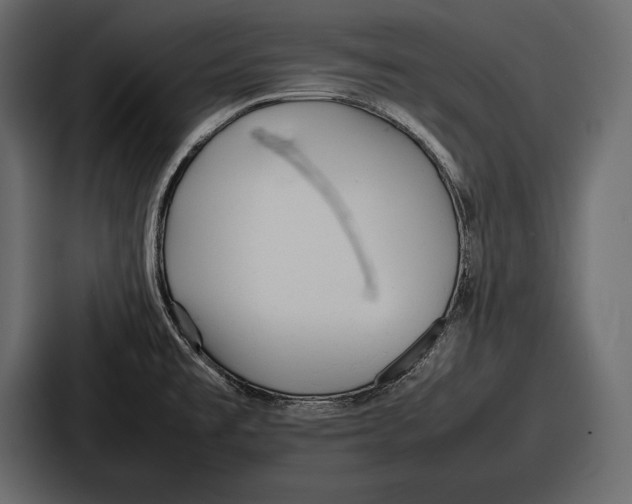X0000086721477200705111545
