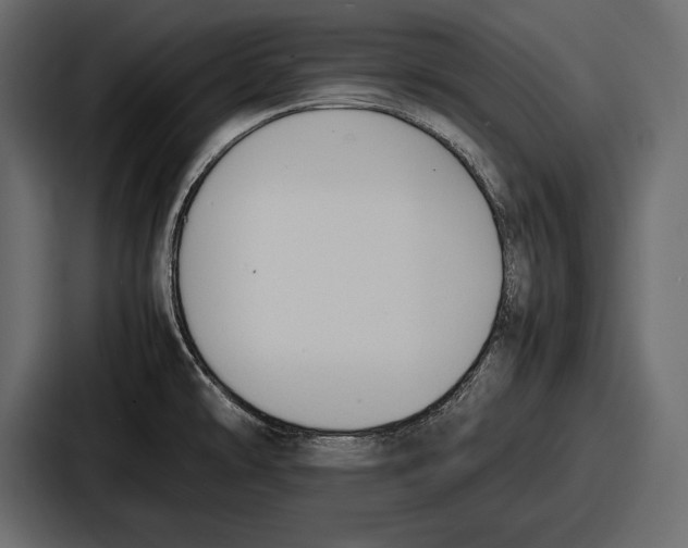 X0000086721478200705111545