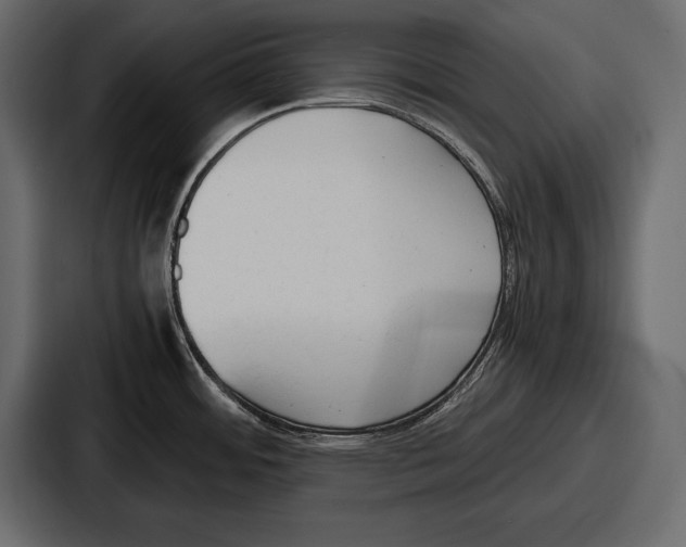 X0000086721484200705111545
