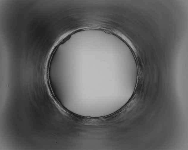 X0000086721485200705111545