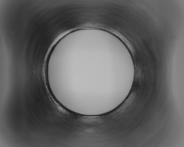X0000086721486200705111545