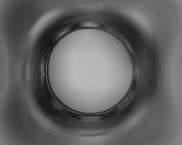 X0000086721487200705111545