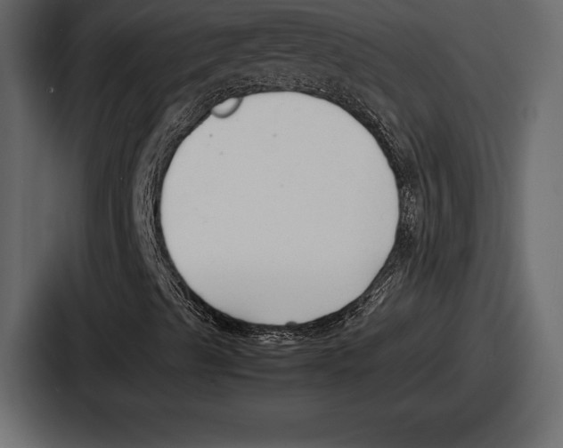 X0000086721489200705111544