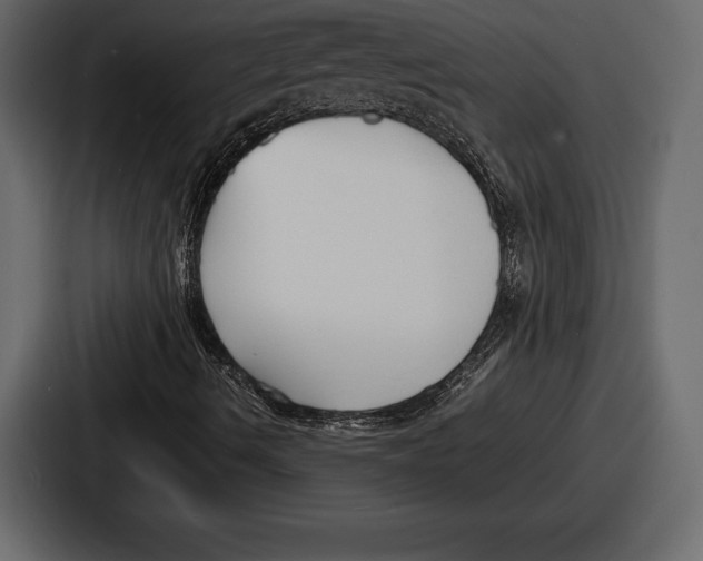 X0000086721490200705111544