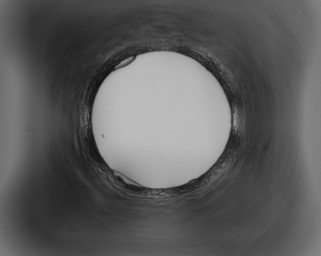 X0000086721492200705111544