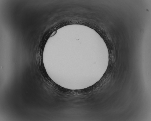 X0000086721493200705111544