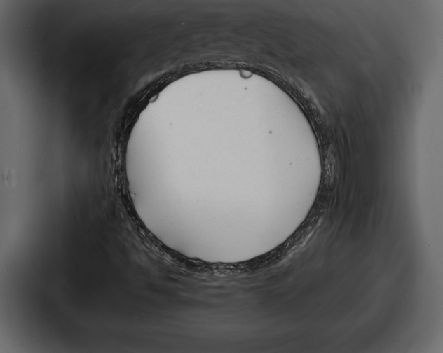 X0000086721494200705111544