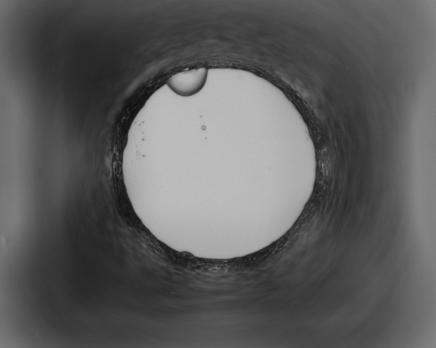 X0000086721495200705111544
