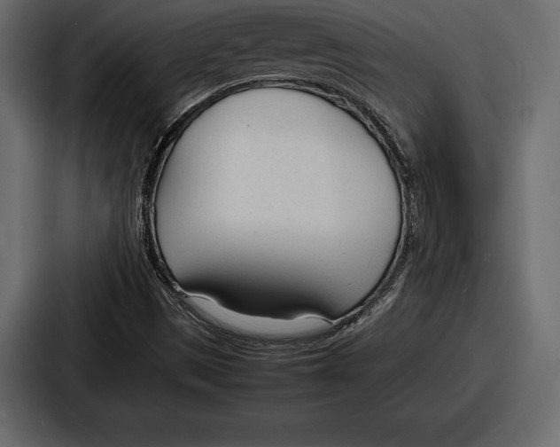 X0000086721497200705111544