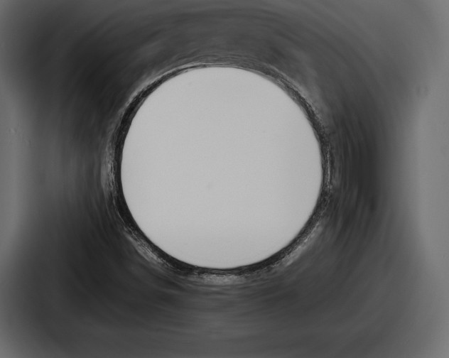 X0000086721498200705111544