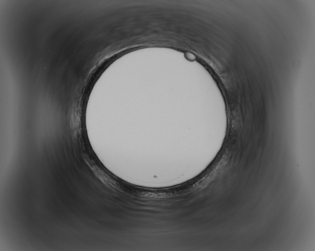 X0000086721499200705111544