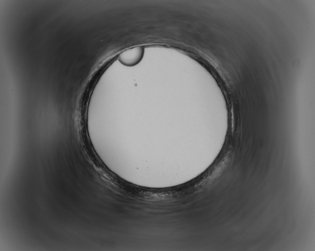 X0000086721501200705111544