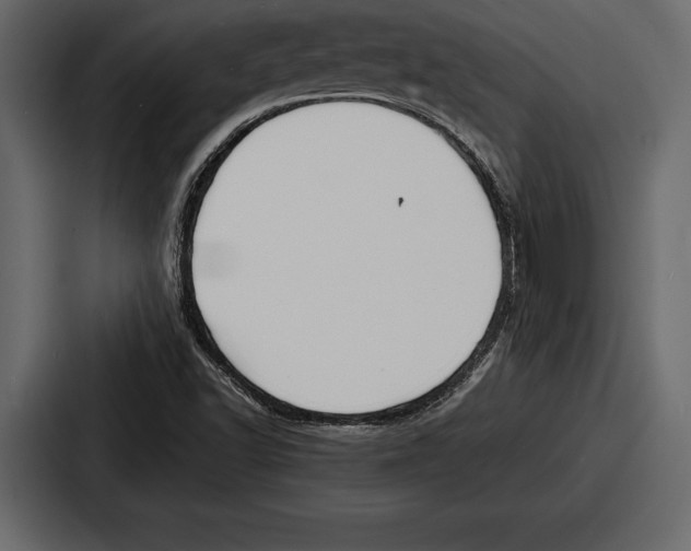 X0000086721502200705111544