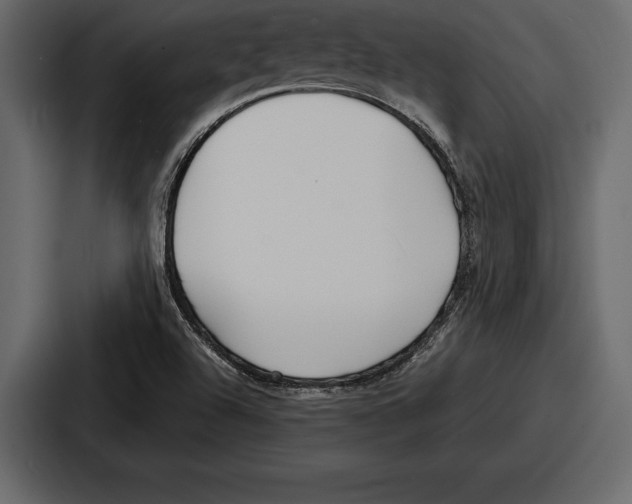 X0000086721504200705111544