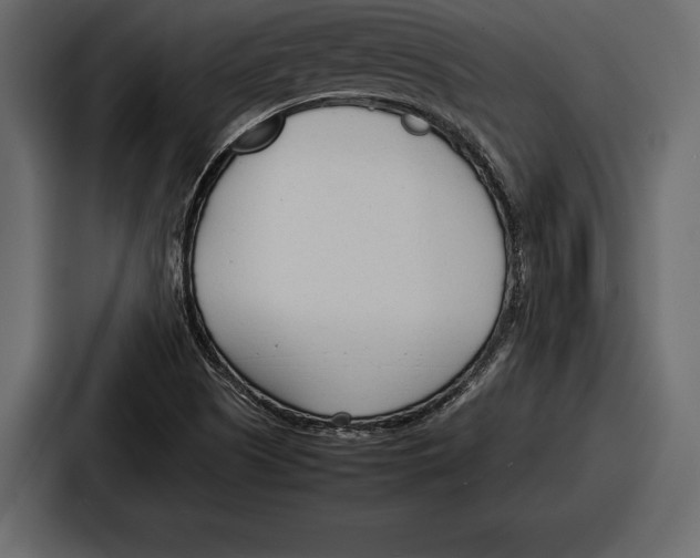 X0000086721505200705111544