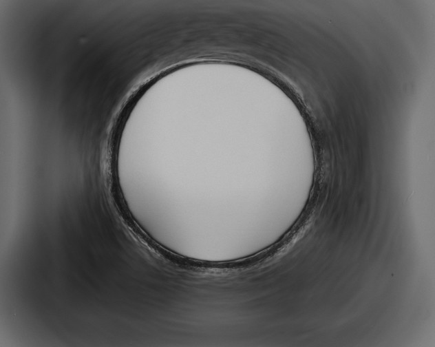 X0000086721506200705111544