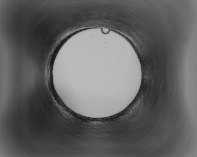 X0000086721507200705111544
