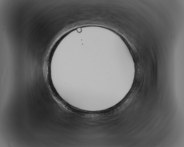 X0000086721511200705111544