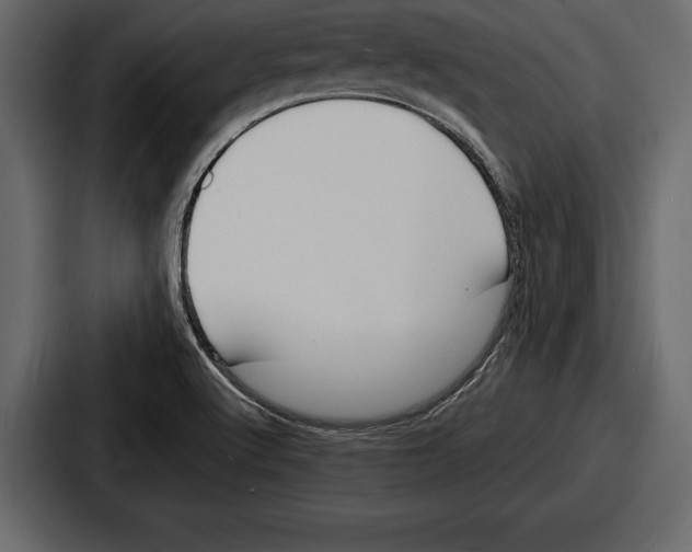 X0000086721512200705111544