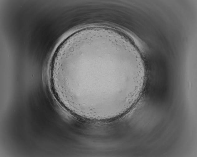 X0000086721514200705111544