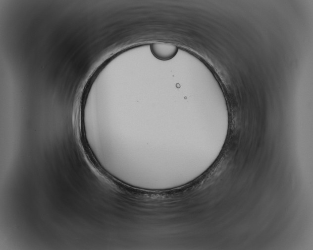 X0000086721515200705111544