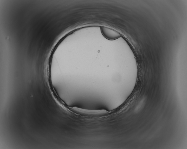 X0000086721519200705111544