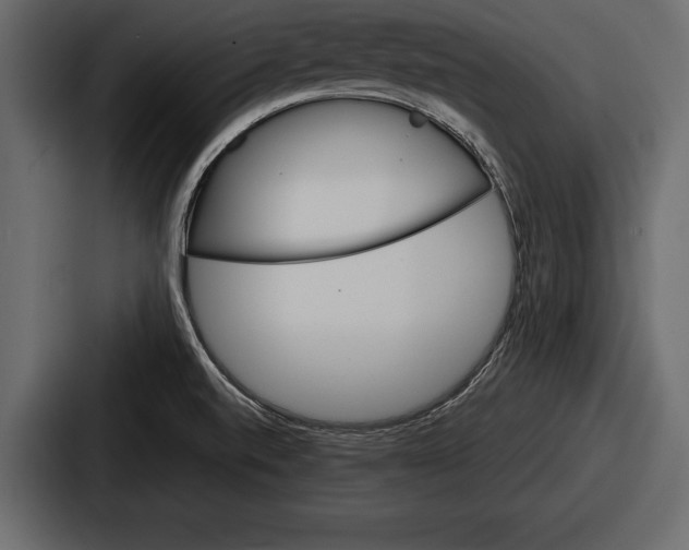 X0000086721520200705111544