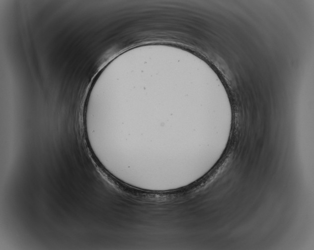 X0000086721521200705111544
