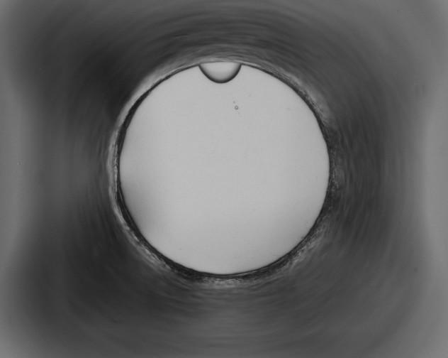 X0000086721522200705111544