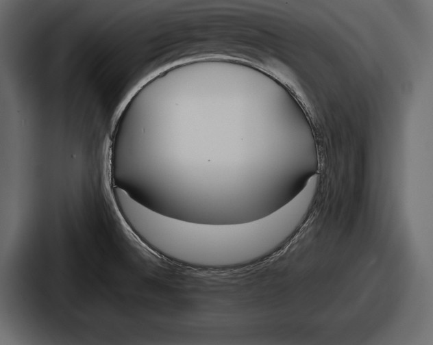 X0000086721524200705111545