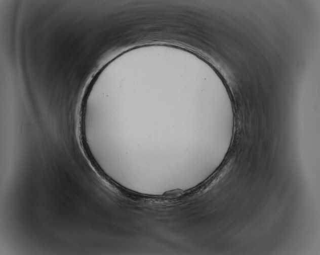 X0000086721525200705111545