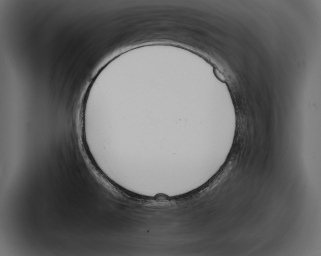 X0000086721526200705111545