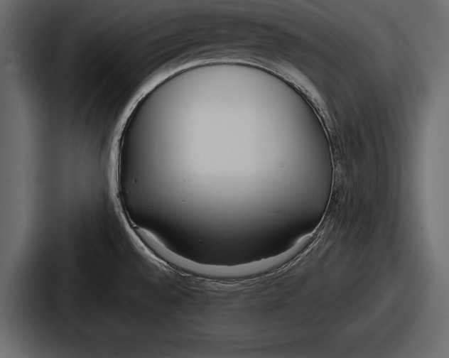 X0000086721528200705111545