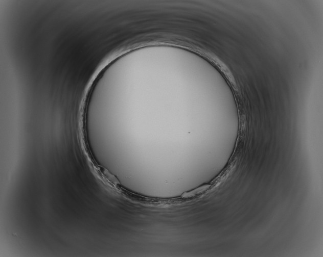 X0000086721530200705111545