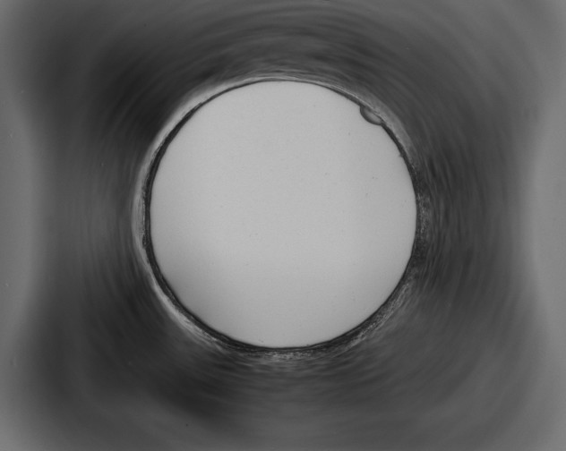 X0000086721531200705111545