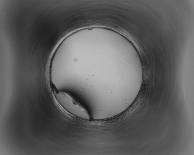 X0000086721532200705111545