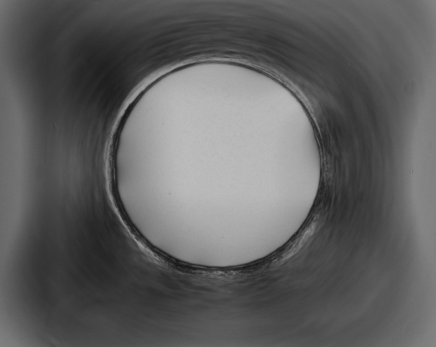 X0000086721533200705111545