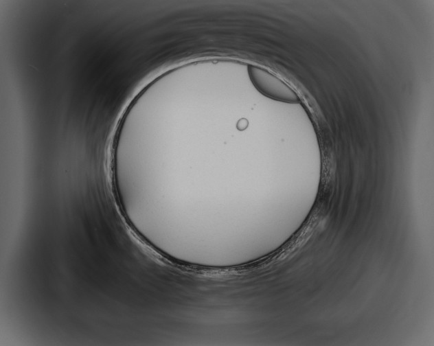 X0000086721535200705111545