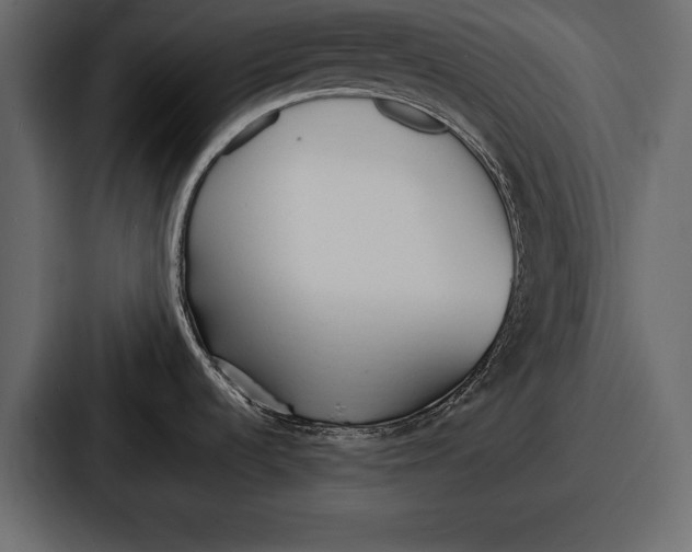 X0000086721536200705111545